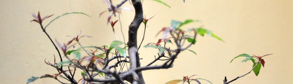 厦门创意家科技有限公司